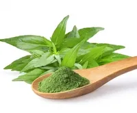 2番目の画像に切り替えるサムネイルボタン